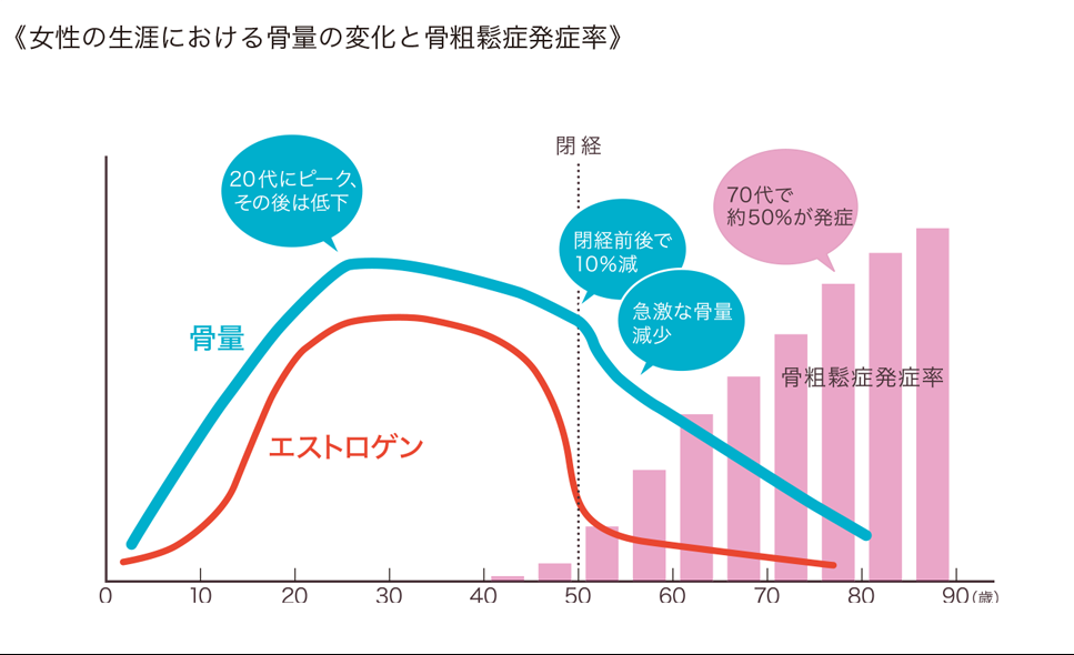 女性の生涯における骨量の変化と骨粗鬆症発症率