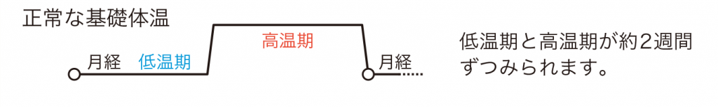 正常な基礎体温のグラフ