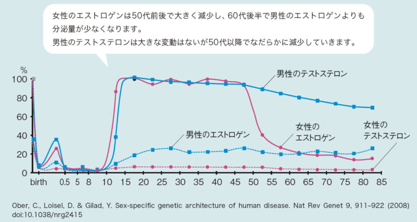 女性のエストロゲンは50代前後で大きく減少し、60代後半で男性のエストロゲンよりも分泌量が少なくなります。男性のテストステロンは大きな変動はないが50代以降でなだらかに減少していきます。