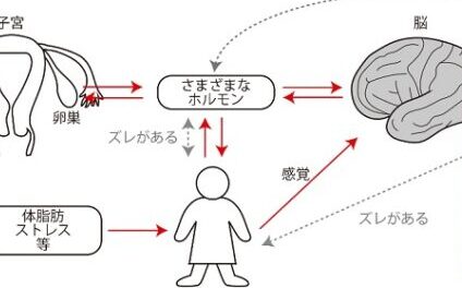 更年期の症状と脳の関係